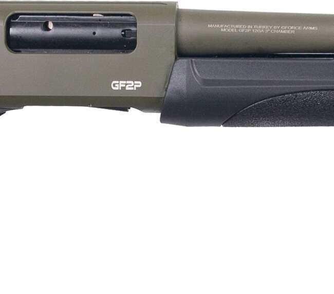 GFA GF2P HIGHCAP 12M/20 7R ODG