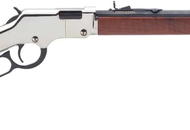 HENRY REPEATING ARMS H4 GOLDEN BOY SILVER 22LR