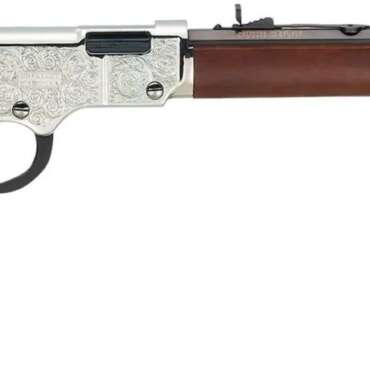 HENRY REPEATING ARMS H4 SILVER EAGLE 22LR BL/WD