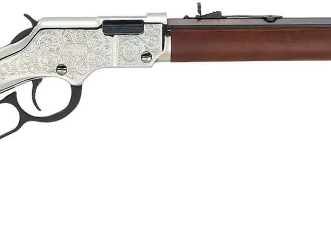 HENRY REPEATING ARMS H4 SILVER EAGLE 22LR BL/WD