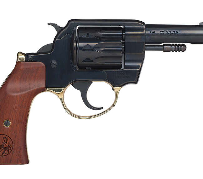 HENRY REPEATING ARMS GOLDEN BOY REVOLVER 22LR 4"