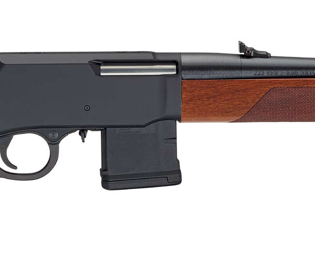 HENRY REPEATING ARMS SUPREME LA 5.56 18" 10+1 TB