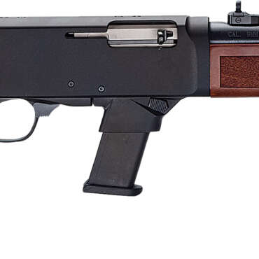 HEN HMESTD 9MM RFL WAL GMW 10R