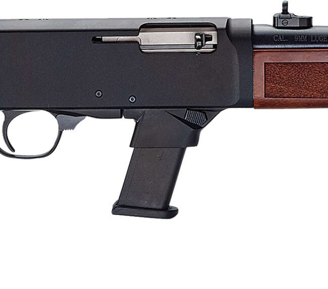 HEN HMESTD 9MM RFL WAL GMW 10R