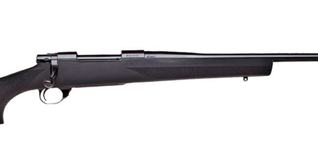 HOWA HOGUE 270WIN BLK 22" TB