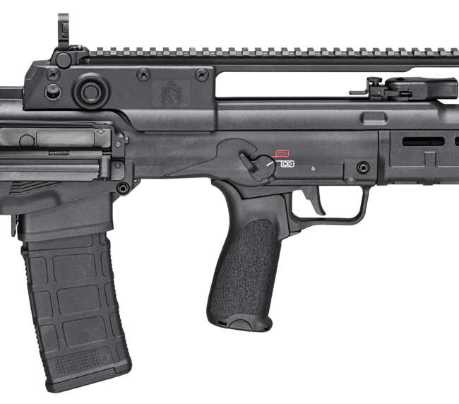 SPRINGFIELD ARMORY HELLION 5.56 BLK 16" 30+1