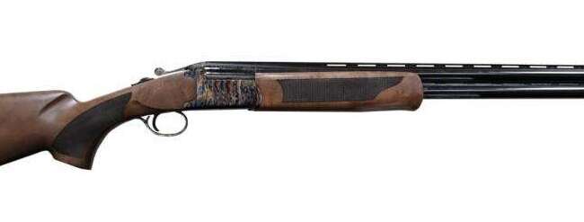 POINTER ACRIUS O/U CCH 28/28