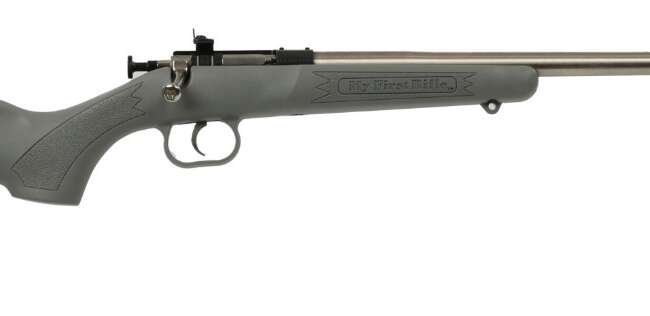 KEYSTONE SPORTING ARMS CRICKETT 22LR SS/GRY