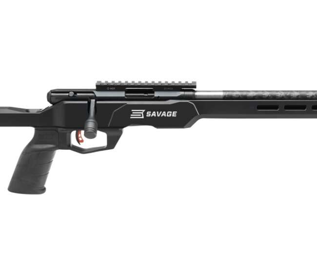 SAVAGE ARMS B22 PRECISION LITE 22LR 18" CF