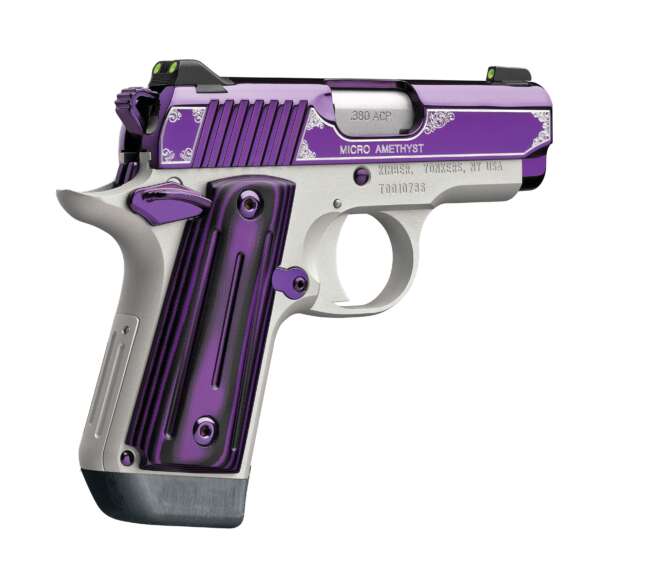 KIMBER MICRO AMETHYST 380ACP 2.75" NS