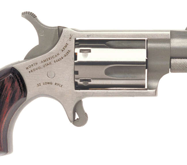 NAM MINI-REV 22LR 1.125SS MATT