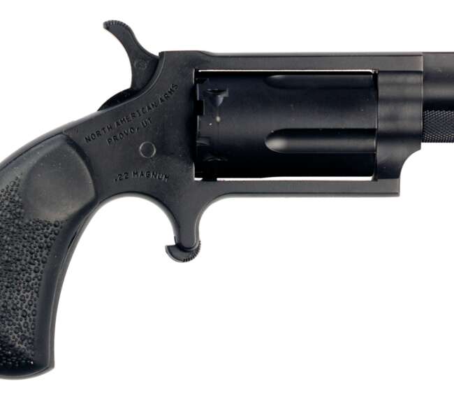 NAM MINI-REV 22M 1.125 CRK DE