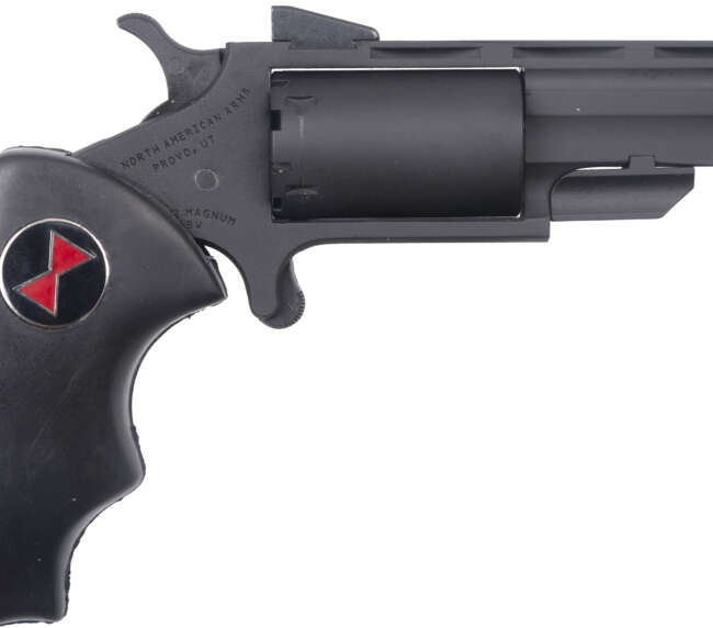 NAM BLACK WIDOW 22M 2 CRK FS