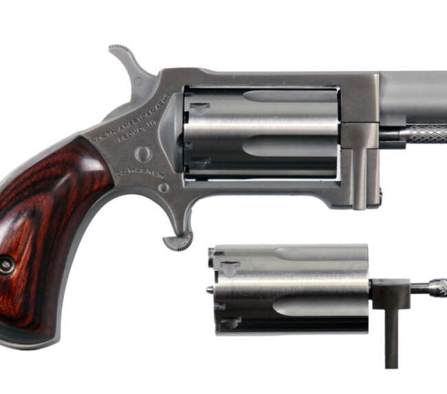 NAM SIDEWINDR REV 22LR/22M 1SS