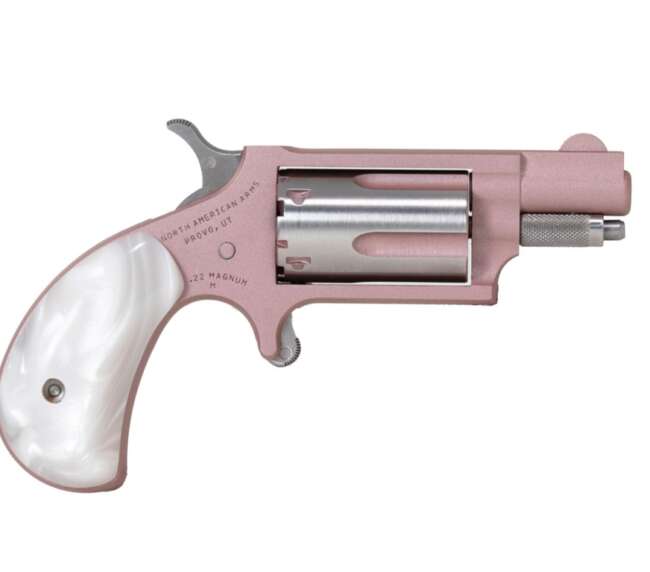 NORTH AMERICAN ARMS MINI 22MAG REV 1-1/8" ROSE