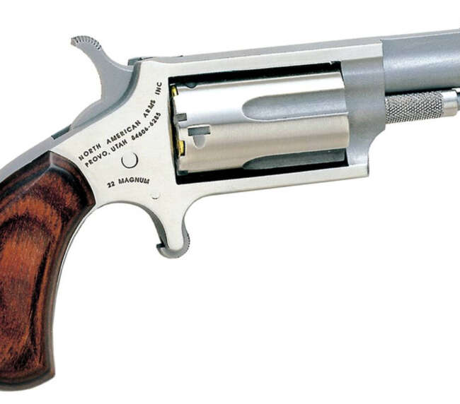 NORTH AMERICAN ARMS MINI 22MAG REV 1-5/8" SS