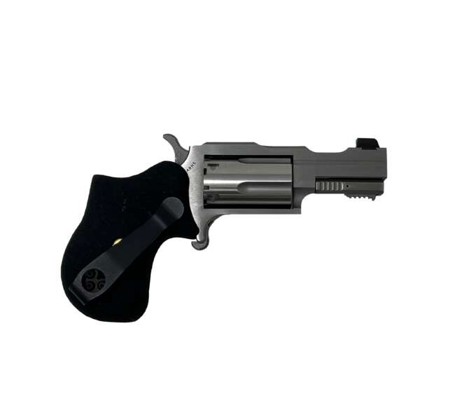 NORTH AMERICAN ARMS 22MAG 1-5/8" RULE 1 SS XS SGHT