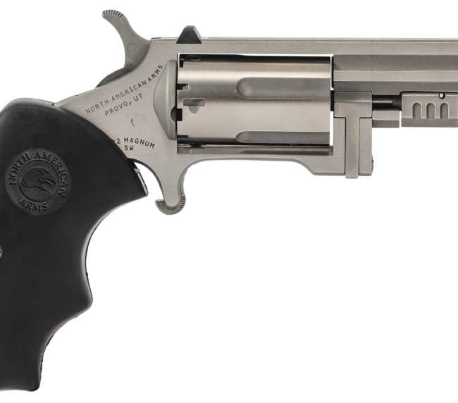 NORTH AMERICAN ARMS RECLUSE 22MAG 2" SS XS