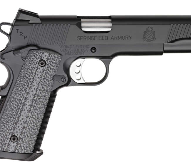 SPRINGFIELD ARMORY 1911 45 TRP SERVICE BLK NS