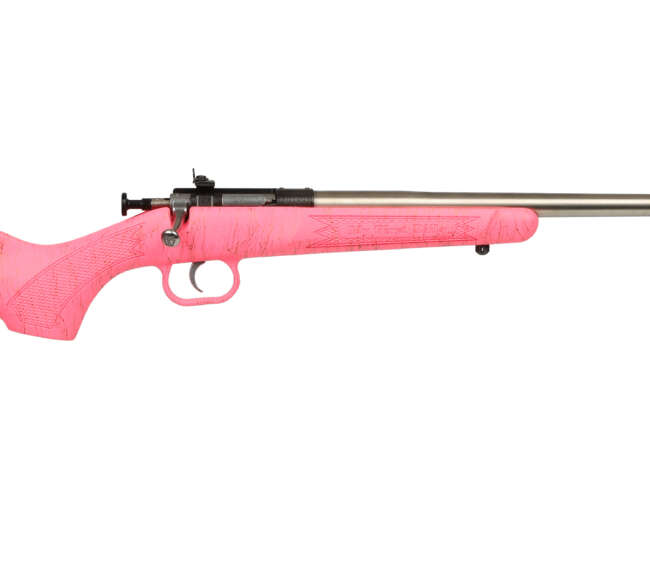 KEYSTONE SPORTING ARMS CRICKETT 22LR SS PINK/GOLD WEB
