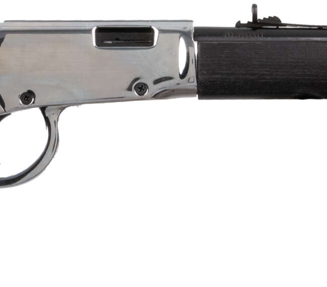 BRZ ROSSI RIOBRAVO 22LR 18NIC