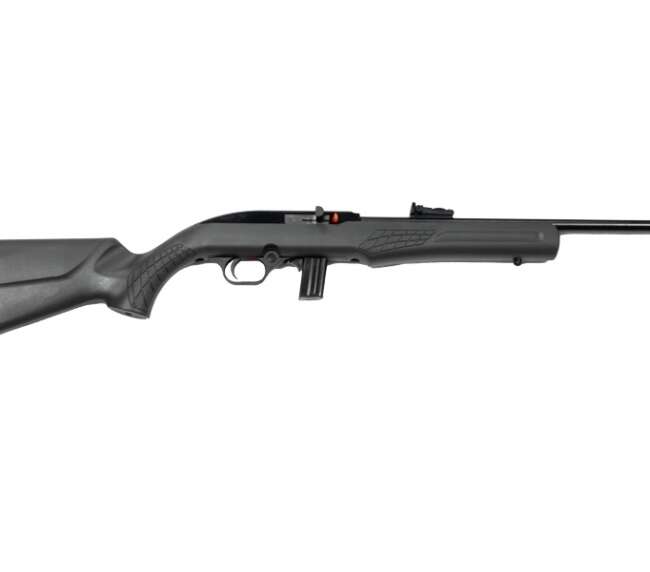 ROSSI RS22 22LR BLK/GRAY 18" 10+1  #