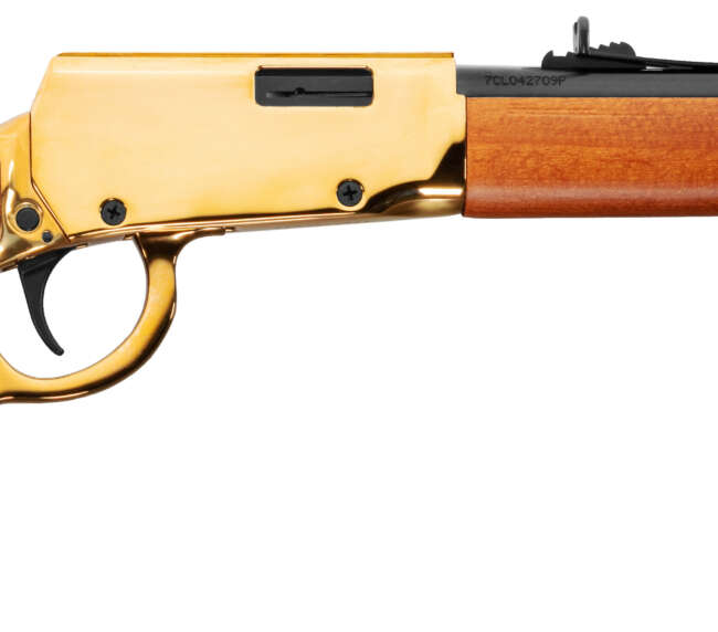 ROSSI RIO BRAVO 22LR GLD/WD 18" 15+1