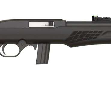 ROSSI RS22 22LR BLK/SYN 18" 10+1