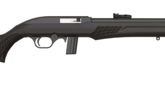 ROSSI RS22 22LR BLK/SYN 18" 10+1