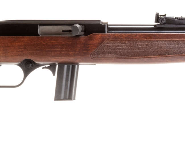 ROSSI RS22 22LR BLK/WD 18" 10+1