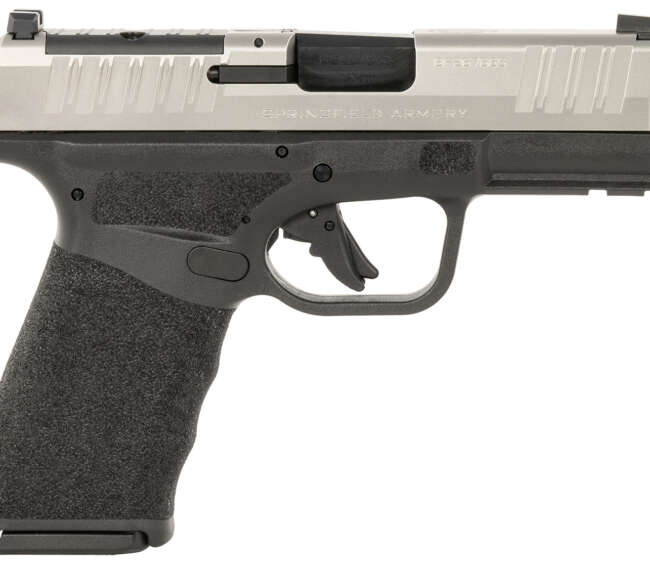 SPRINGFIELD ARMORY HELLCAT PRO OSP 9MM BKSS 10 CA
