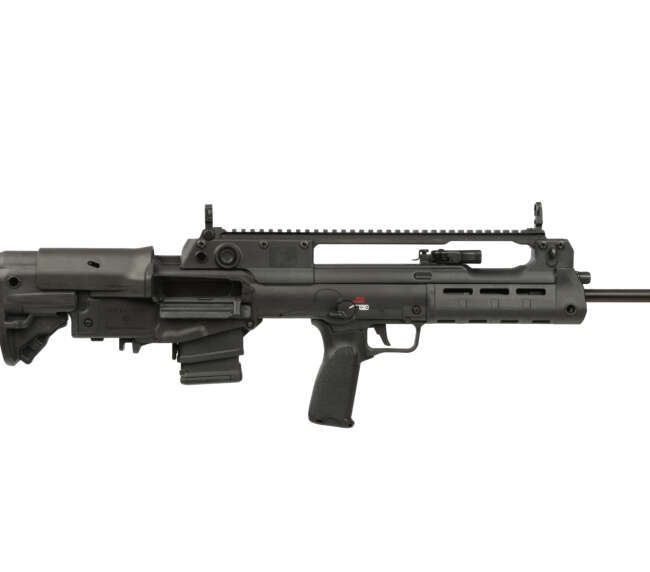SPRINGFIELD ARMORY HELLION 5.56 BLK 20" 10+1