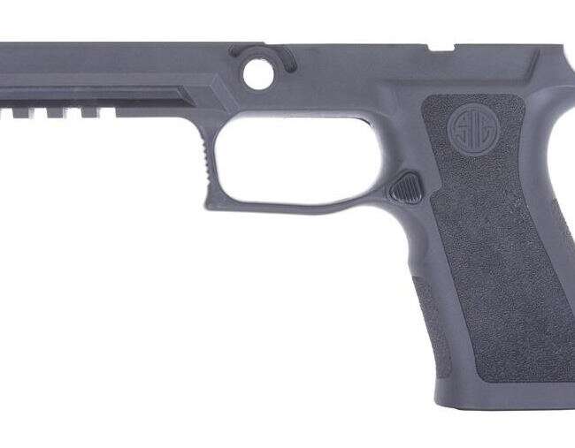 SIG SAUER GRIP ASY 320 TXG CARRY LG GRAY