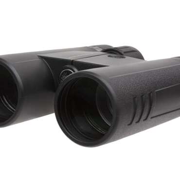 SIG SAUER BUCKMASTERS BINO 10X42 BLK
