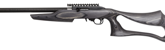 MAGNUM RESEARCH MAGNUM LT 22LR SWTCHBLT BK LAM