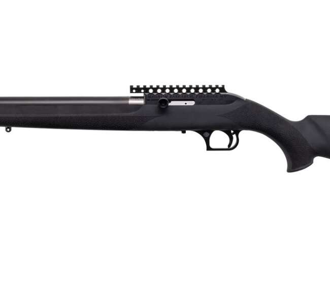 MAGNUM RESEARCH MAGNUM LT 22LR SWTCHBLT HOGUE
