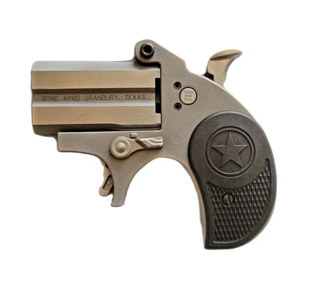 BOND ARMS STUBBY 380ACP SS 2.2" FS