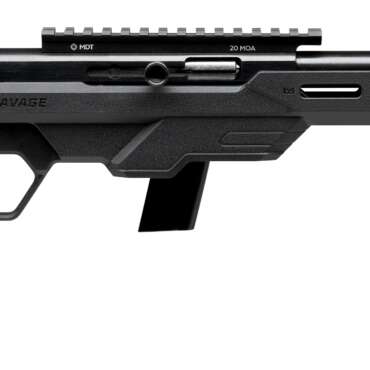SAVAGE ARMS 64 PRECISION 22LR BL/BK 10+1