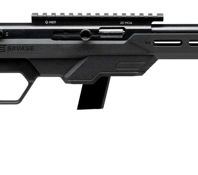 SAVAGE ARMS 64 PRECISION 22LR BL/BK 10+1