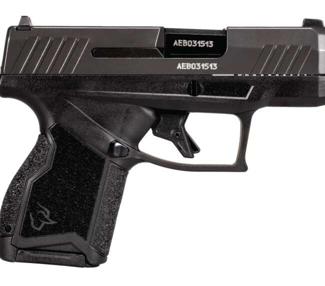 TAURUS GX4 9MM BLK/GRAPHENE 10+1