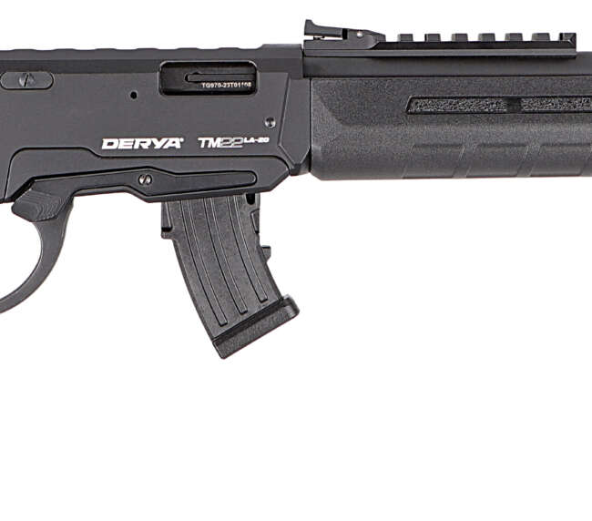 DERYA ARMS TM22 LEVER 22LR BLK 20" 10+1