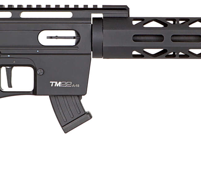 DERYA ARMS TM22 METAL 22LR BLK 20" 10+1