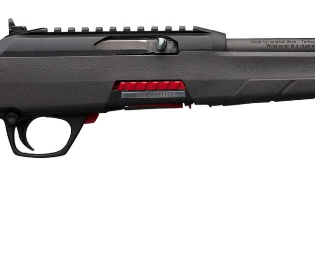 WINCHESTER WILDCAT SR 22LR 16.5" BL/SY TB