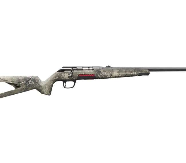 WINCHESTER XPERT 22LR 18" BL/TTS
