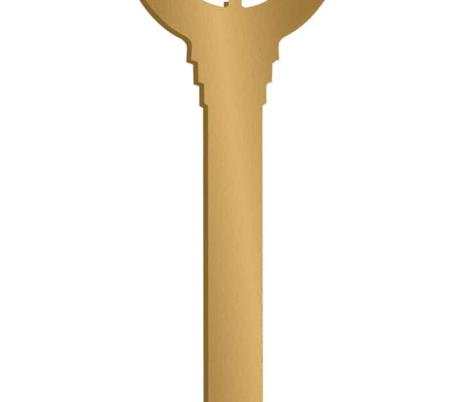 YANKEE HILL MACHINE COMPANY VICTRA-12 SPANNER WRENCH