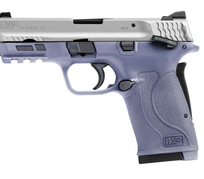 SMITH AND WESSON M&P380 SHIELD EZ 380ACP ORC/SS