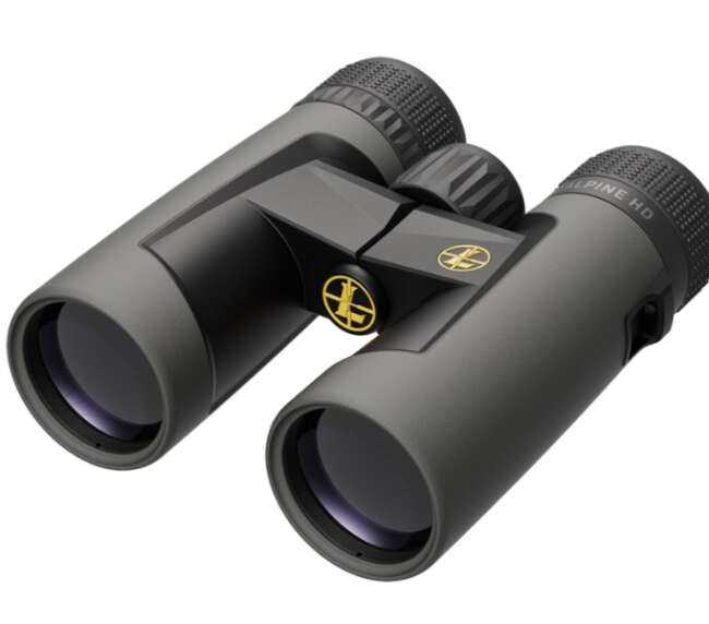 LEUPOLD BINO BX2 ALPINE HD 10X42 GRY #