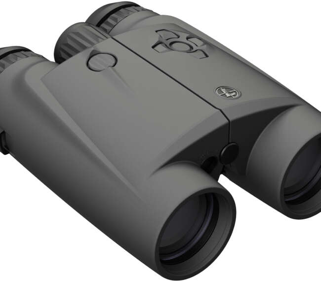 LEUPOLD BX6 HD 10X42 4DOF RF BINO GRY