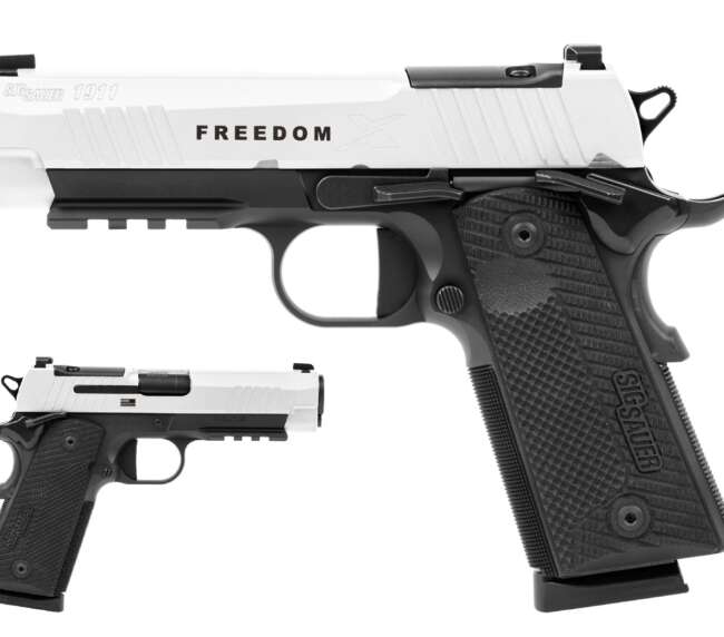 SIG SAUER 1911X CARRY FRDM 45ACP 4.25 #