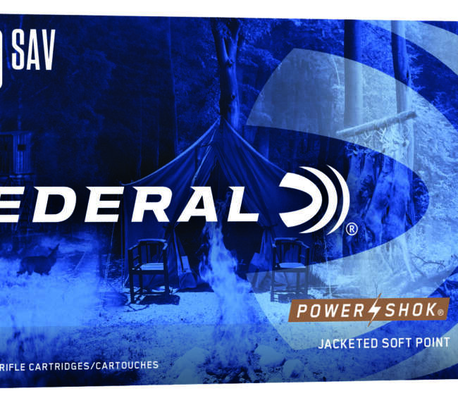 FDR 300SAV 180GR PWRSK SP 20RD